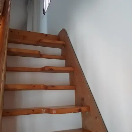 Nefelejcs Nyaraló-vendégház * Dunasziget