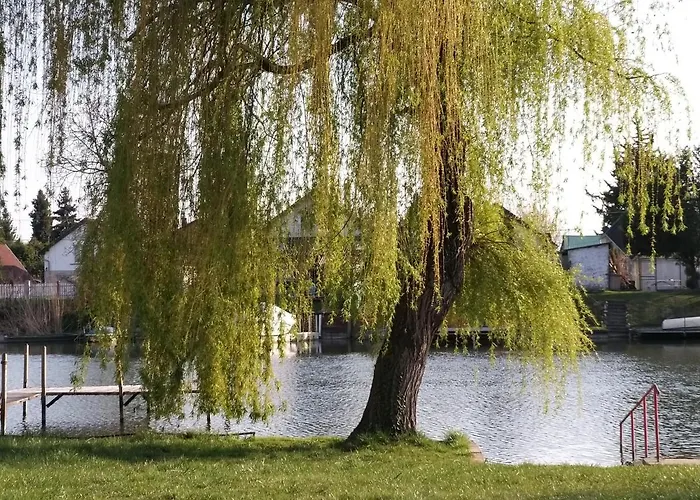 Nefelejcs Nyaralo-vendeghaz Дом отдыха