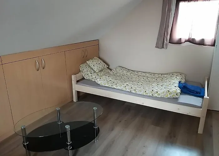 Nefelejcs Nyaralo-vendeghaz Дом отдыха *